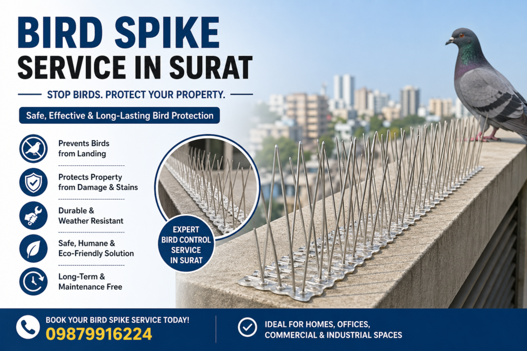 Bird Spike Service in Surat Stop Birds Instantly & Safely