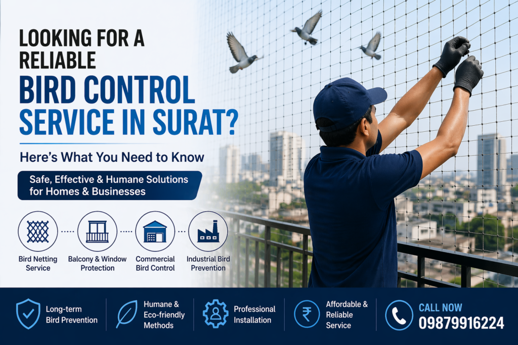 bird-control-service-in-surat-banner.jpg