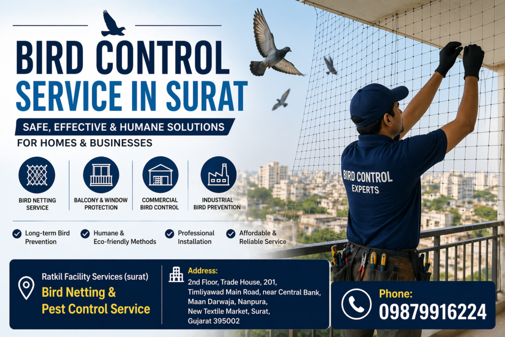 bird-control-service-in-surat-featured-image.jpg